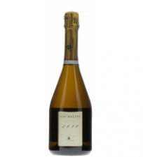 De Sousa Champagne Cuvée des Caudalies Vintage